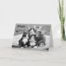 Search for 60th cat birthday cards Veterinarian