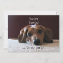 Search for hounds invitations Humour