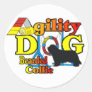 Search for bearded collie stickers Pets