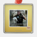 Search for wet christmas tree decorations I can has cheezburger