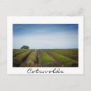 Search for after postcards Nature