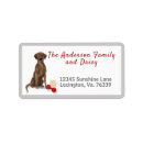 Search for chocolate labrador return address labels Pet