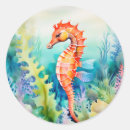Search for seahorse stickers Watercolor