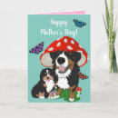 Search for mountain mothers day cards Bernese mountain dog