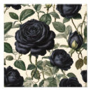 Search for vintage botany posters Beautiful
