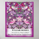 Search for strawberry posters Floral