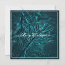 Search for fir christmas cards Pine