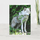 Search for grey wolf cards Nature