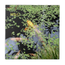 Search for fish pond tiles Carp