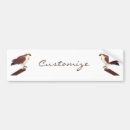 Search for hawk bumper stickers Raptor