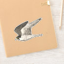 Search for watch your stickers Bird watching