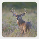 Search for texas day stickers Wildlife