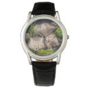 Search for animal watches Fox