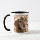 Search for closed mugs Head and shoulders