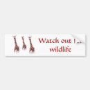 Search for wildlife conservation bumper stickers Animals