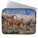 Search for quarter horses electronics Superstock