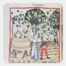 Search for harvest stickers Black