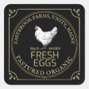 Search for pasture Hen