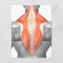 Search for biomedical postcards Human body parts