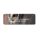 Search for black horse return address labels Equine