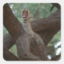 Search for yawn stickers Animal