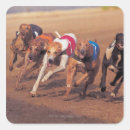 Search for track stickers Dog