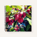 Search for crab photography Crabapple