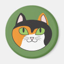 Search for calico magnets Cat