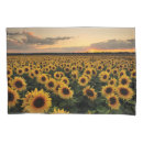 Search for field pillowcases Nature