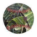 Search for splendens Tropical