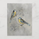 Search for aviary postcards Perched