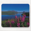 Search for north shore mouse mats Landscape