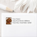 Search for labradoodle return address labels Dog
