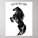 Search for wild horse posters Animal