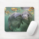 Search for two animals mouse mats Cute baby animal