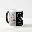 Search for loss of pet mugs Dogs