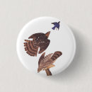Search for prey badges Bird of prey