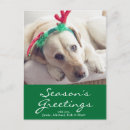 Search for sofa christmas cards Photography