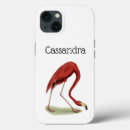 Search for tropical birds iphone cases Pink