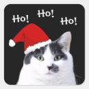 Search for cat in santa hat stickers Cats