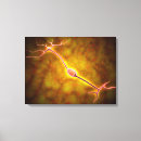 Search for synapses art Horizontal