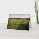 Search for scenics cards Photography