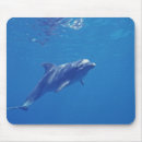 Search for roos mouse mats Animal