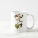Search for annas mugs Calypte anna
