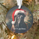 Search for mastiff christmas tree decorations Puppy