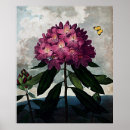 Search for rhododendron art Nature