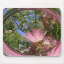 Search for tree and sky electronics Abstract
