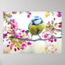 Search for cute posters Beautiful