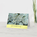 Search for spring bulbs cards Flower