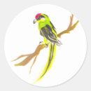 Search for yellow parrot stickers Pet